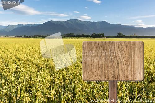 Image of Blank wooden sign