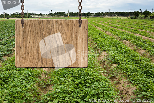 Image of Blank wooden sign