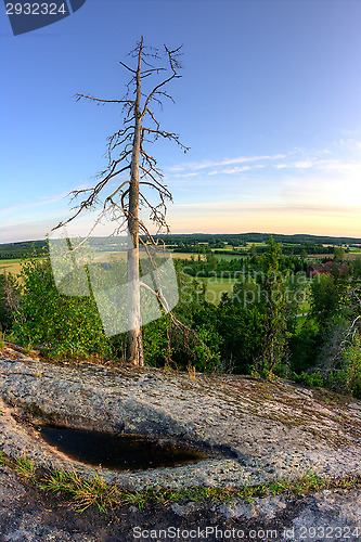 Image of Landscape