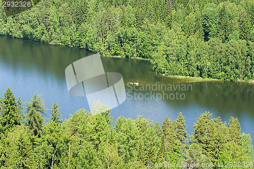 Image of River