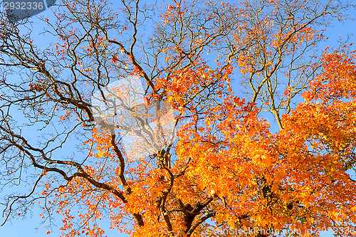 Image of Fall colors