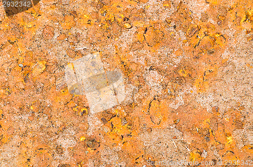 Image of Leafs