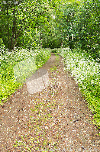 Image of Dirt road