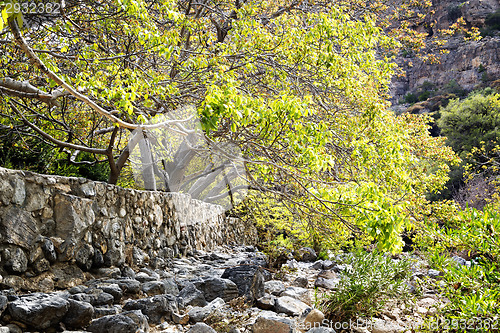 Image of Riverbed Wadi Bani Habib