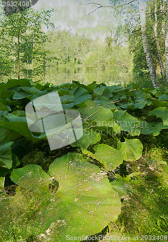 Image of Abstrak forest