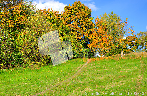 Image of Fall colors