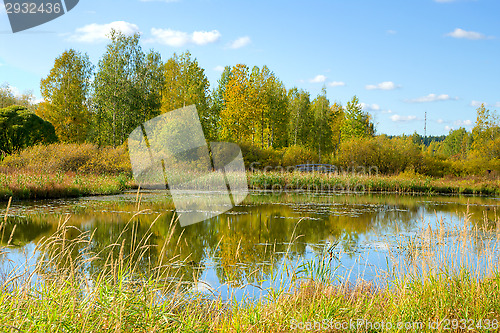 Image of Pond