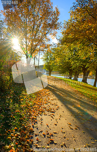 Image of Fall colors