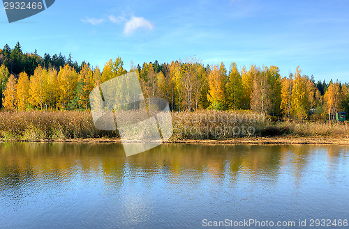 Image of Autumn colors