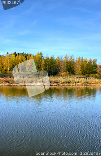 Image of Fall colors
