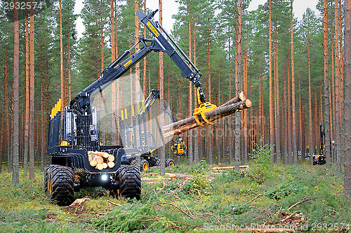 Image of Ponsse Buffalo Forwarder in a Work Demo