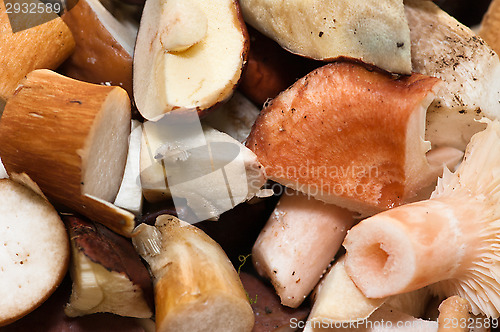 Image of Mushrooms