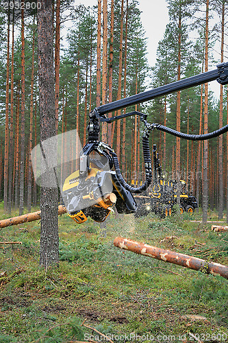 Image of Ponsse Harvester Head Cutting Wood