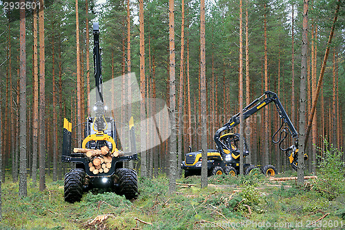 Image of Ponsse Forwarder and Harvester Working in Forest