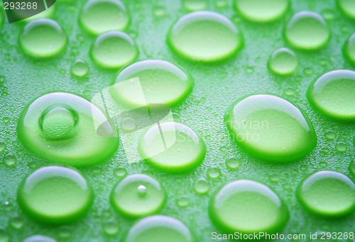 Image of waterdrops