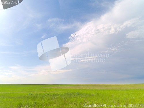 Image of summer landscape