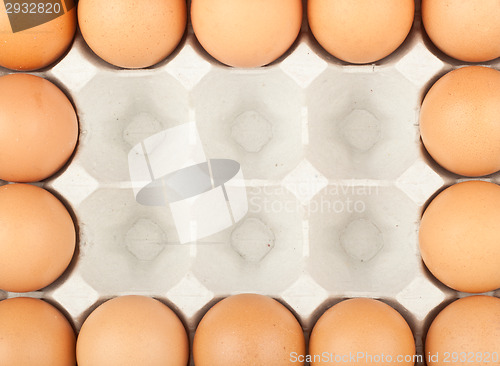 Image of Chicken eggs frame