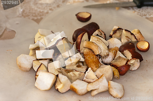 Image of Mushrooms