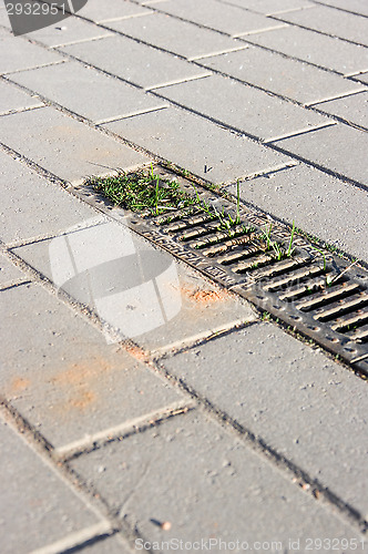 Image of Drain cover