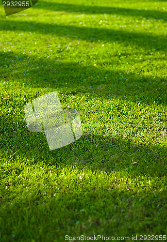 Image of Lawn