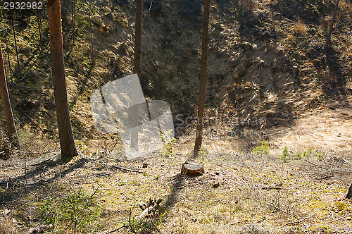 Image of Sand pit