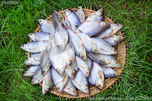 Image of River fish (carp) and the greens on a round dish.