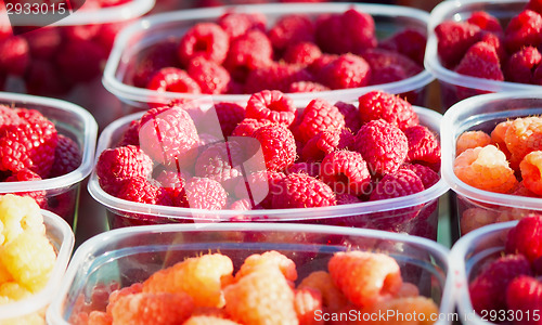 Image of Raspberries in containers for sale.
