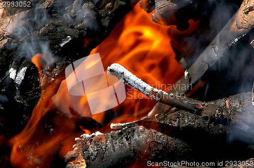 Image of Fire