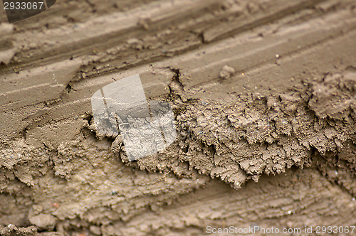 Image of Mud