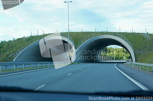 Image of Tunnels