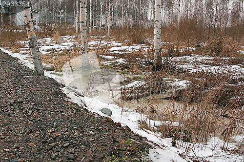 Image of Spring