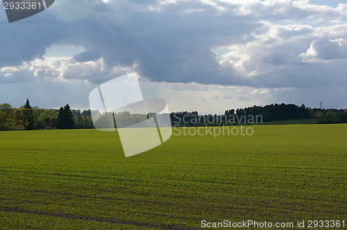 Image of Countryside