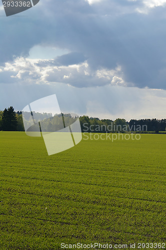 Image of Countryside