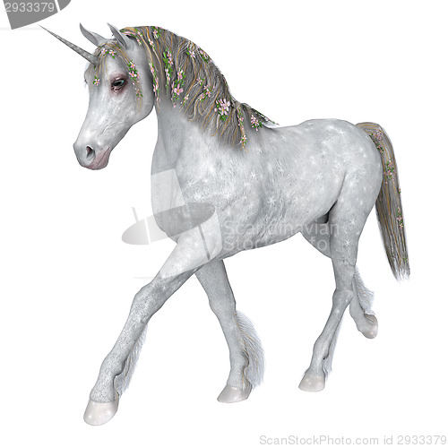 Image of White Unicorn