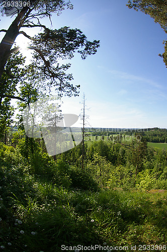 Image of Landscape