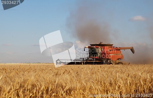 Image of Harvest