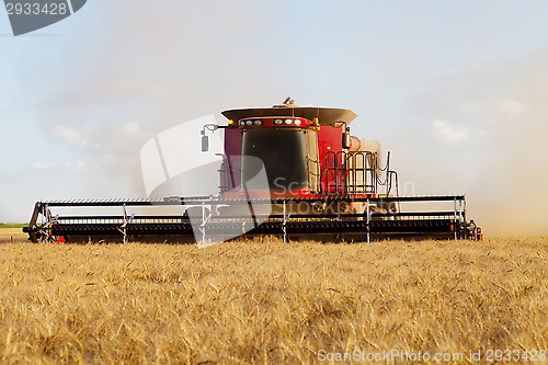 Image of Harvesting Wheat