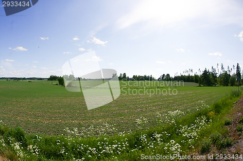 Image of Countryside