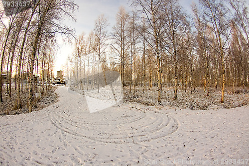 Image of Winter