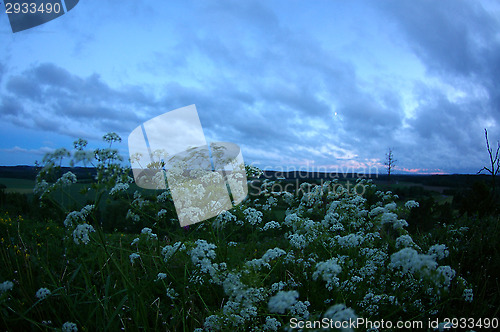 Image of Landscape