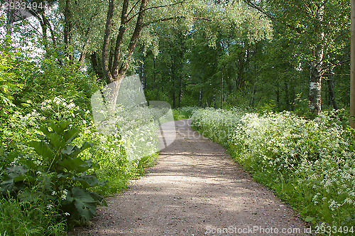 Image of Summer