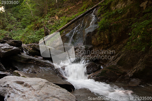 Image of Waterfall and river in forest