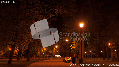 Image of Night walk in a park