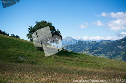 Image of Mountain landscape in Alps