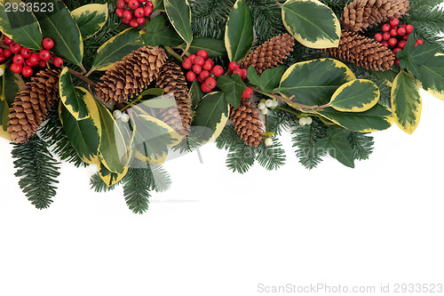 Image of Christmas Flora