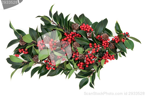 Image of Holly 
