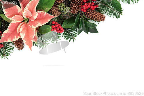 Image of Poinsettia Flower Border