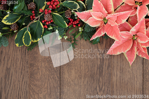 Image of Winter Flora