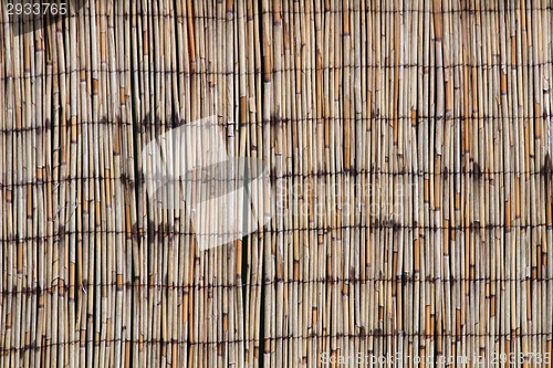 Image of bamboo texture 