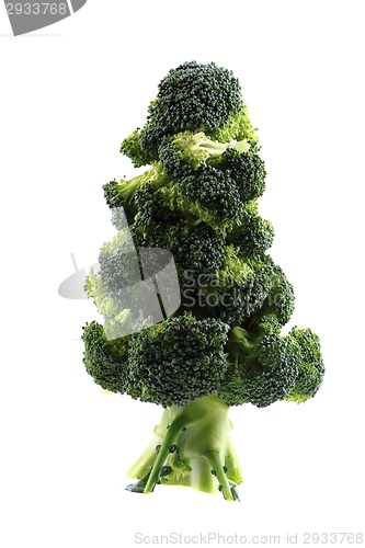 Image of christmas tree from brocolli 